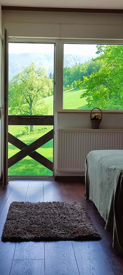 Gorski Widok Karpacz Apartamenty I Pokoje- Salon Kominkowy المظهر الخارجي الصورة