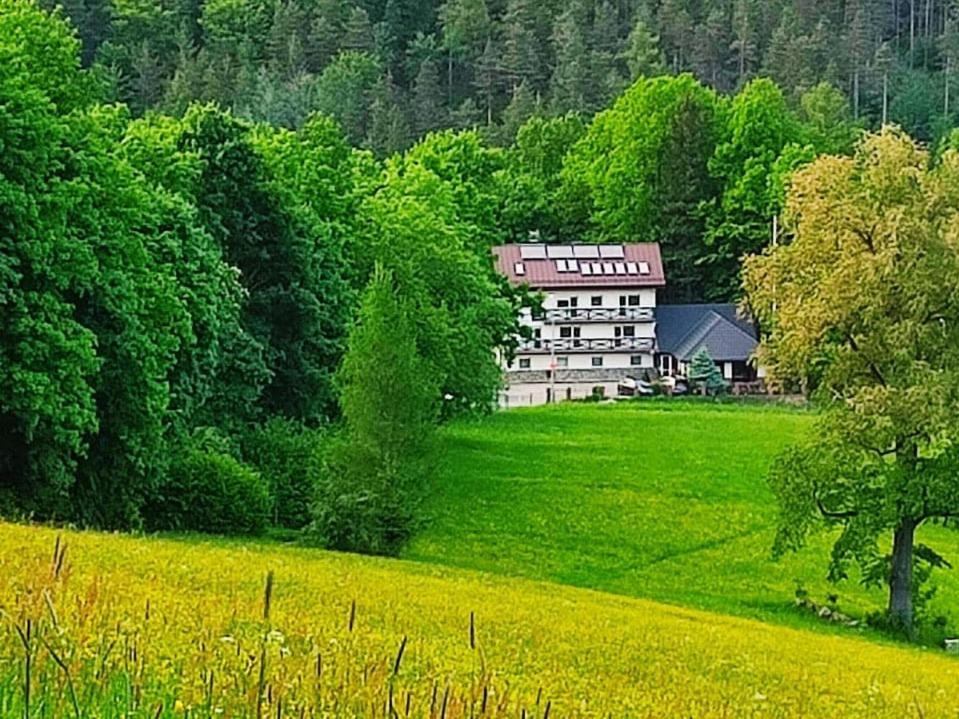 Gorski Widok Karpacz Apartamenty I Pokoje- Salon Kominkowy المظهر الخارجي الصورة