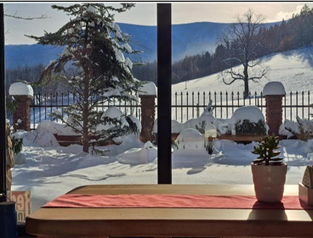 Gorski Widok Karpacz Apartamenty I Pokoje- Salon Kominkowy المظهر الخارجي الصورة