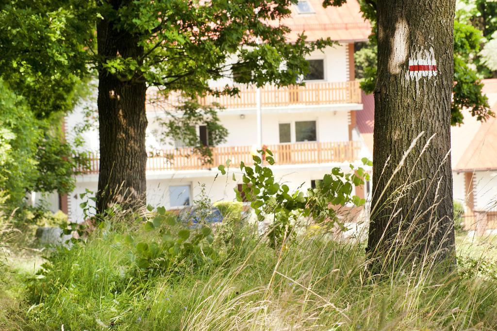Gorski Widok Karpacz Apartamenty I Pokoje- Salon Kominkowy المظهر الخارجي الصورة